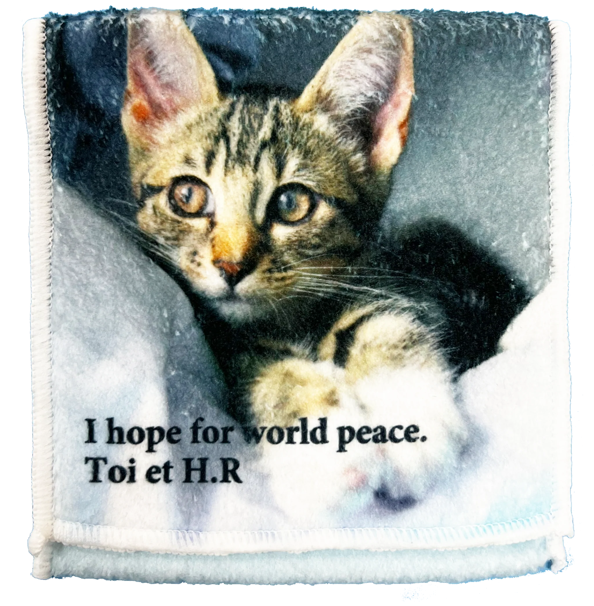 猫ちゃんポケット付ハンカチ – Toi et H.R【超喜】
