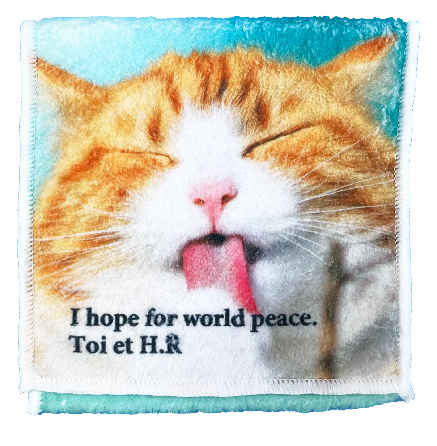 猫ちゃんポケット付ハンカチ – トワ・エ・アシュエール