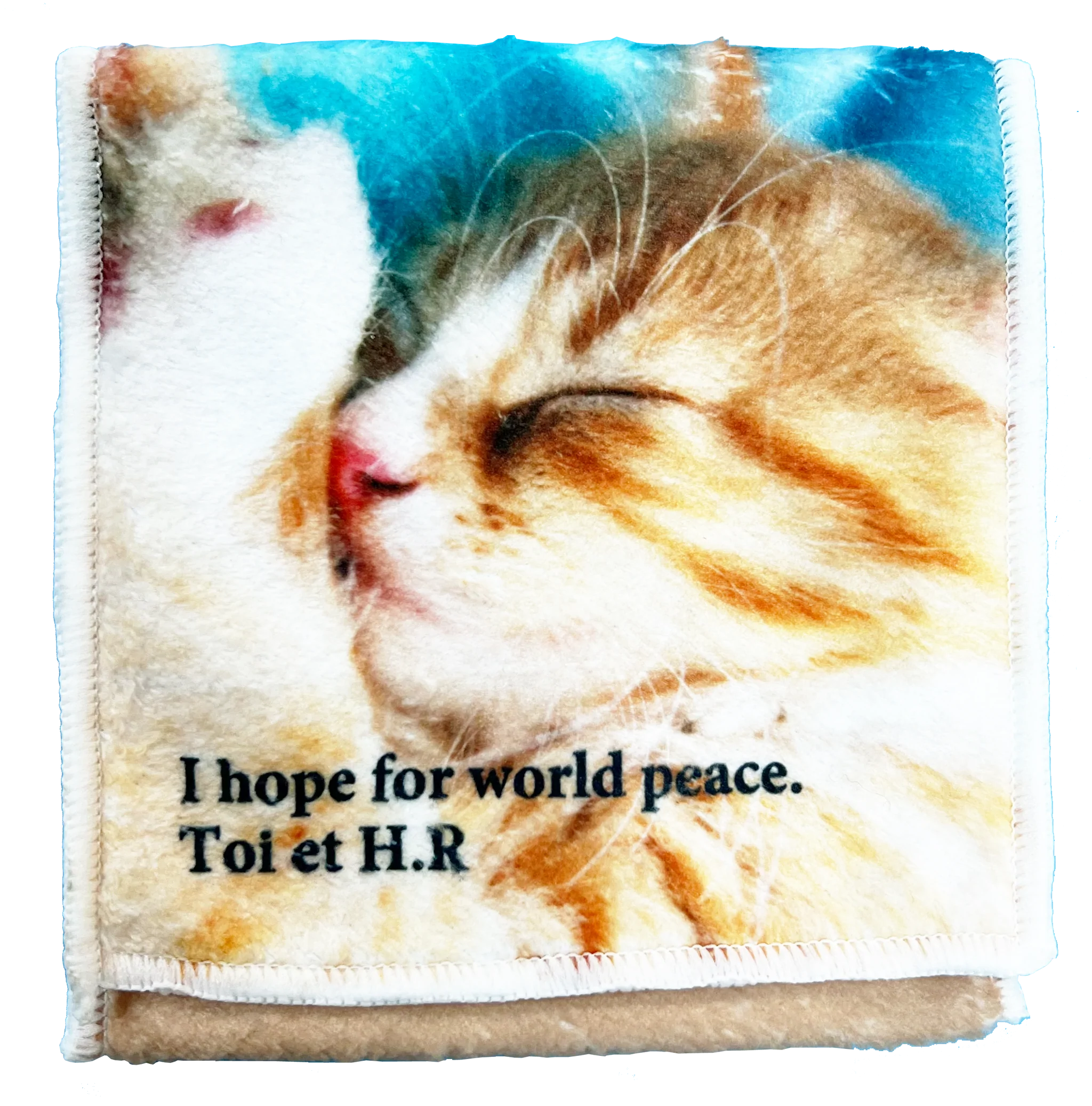 猫ちゃんポケット付ハンカチ – Toi et H.R【超喜】